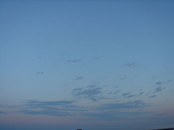 Low angle view of bird flying in sky