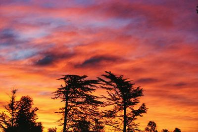 Low angle view of silhouette trees against dramatic sky