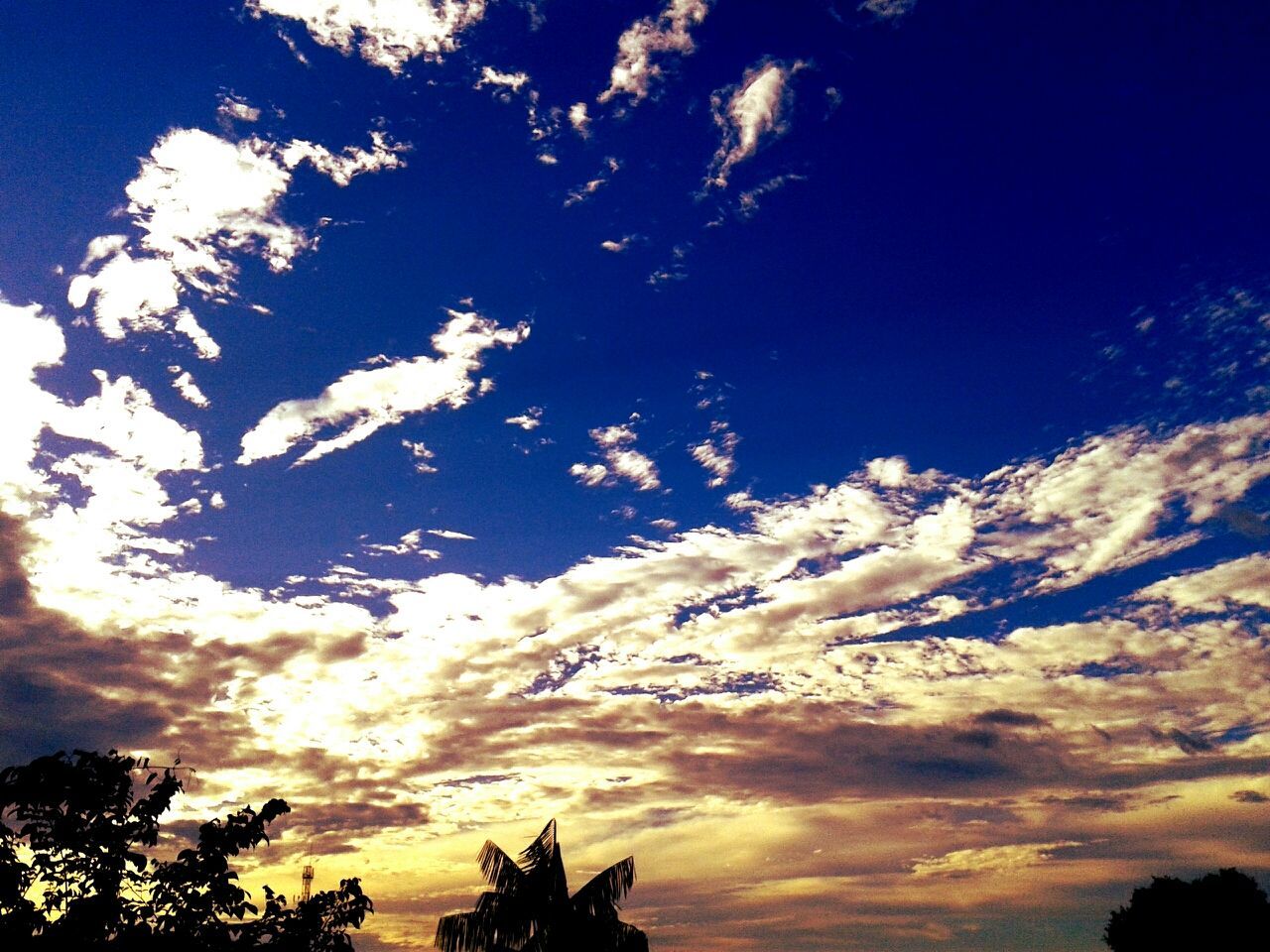 low angle view, sky, tranquility, beauty in nature, scenics, silhouette, tree, cloud - sky, tranquil scene, nature, blue, sunset, cloud, growth, idyllic, outdoors, no people, majestic, cloudy, high section