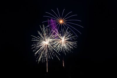 Low angle view of firework display at night