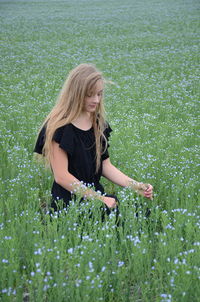 Teenage girl in  flax field