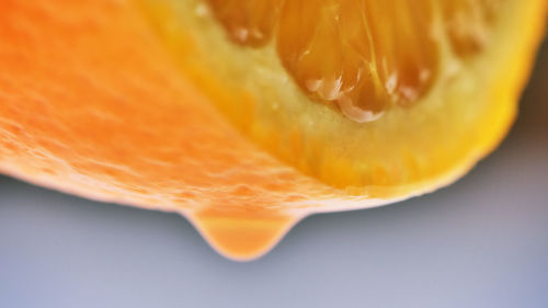 Macro shot of yellow flower