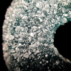 close-up