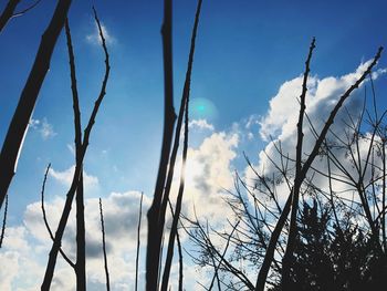 Low angle view of bare trees against blue sky