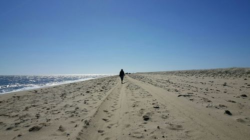 Rear view of person walking on sandy beach against clear sky