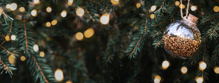 Close-up of illuminated christmas tree at night