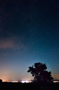 Low angle view of silhouette trees against star field at night