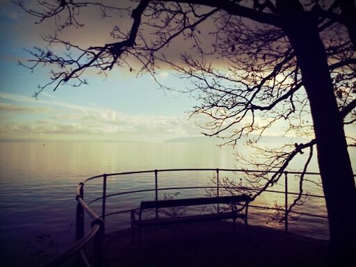 water, silhouette, sea, tree, tranquility, sky, tranquil scene, horizon over water, branch, scenics, sunset, nature, beauty in nature, bare tree, beach, idyllic, tree trunk, lake, dusk, shore