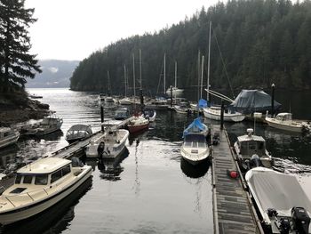 Boats moored at harbor against sky