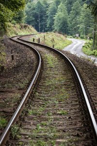 Railroad tracks in forest