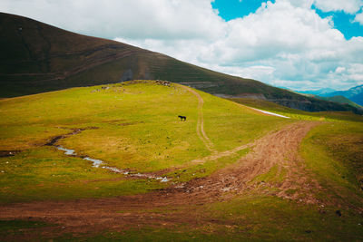 Scenic view of landscape against sky