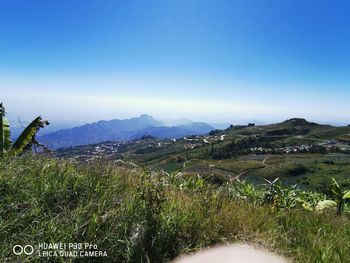 Scenic view of field against clear blue sky