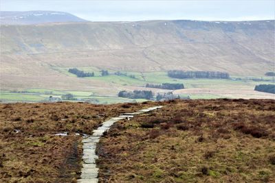 Scenic view of landscape against sky