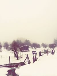 Snow covered trees in winter