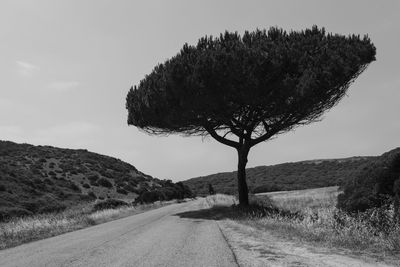 Road passing through landscape