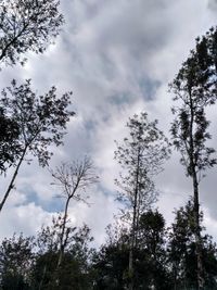 Low angle view of trees against cloudy sky