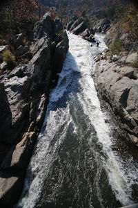 High angle view of horse in water