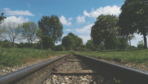 Railroad tracks in forest