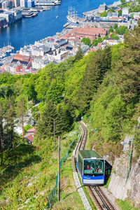 High angle view of trees and buildings