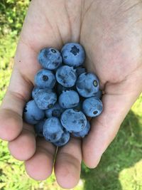 Close-up of hand holding fruit