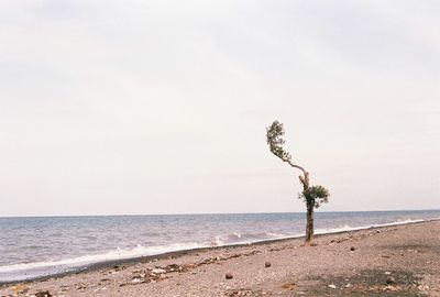 Scenic view of beach and sea against sky