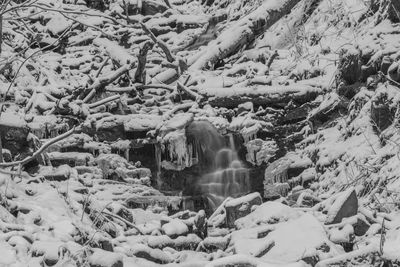 Scenic view of waterfall