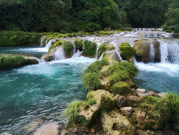 Scenic view of waterfall in forest