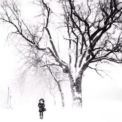 Bare trees against sky