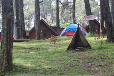 Tent on field against trees in forest