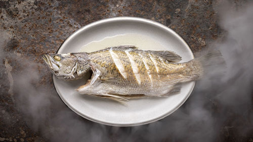 High angle view of fish in plate