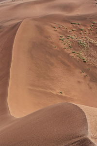 Sand dunes in desert