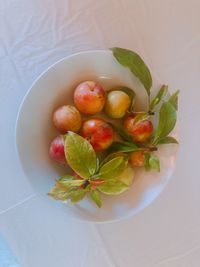 High angle view of fruits in plate on table