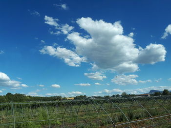 Scenic view of field against blue sky