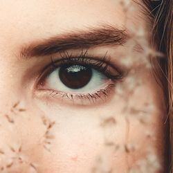 Close-up portrait of human eye