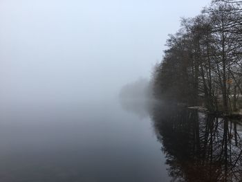 Trees against sky during foggy weather