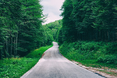 View of empty road passing through trees