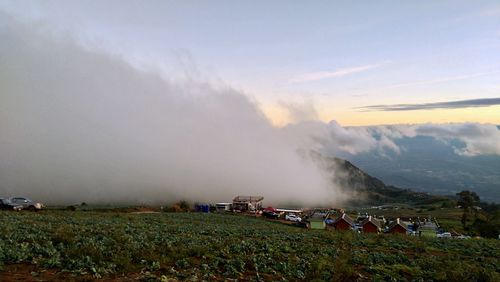 Smoke emitting from field against sky