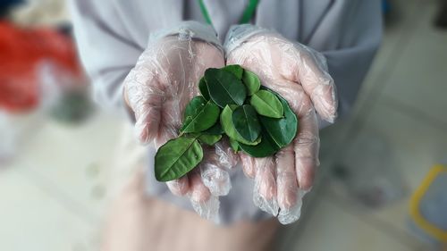 Close-up of hand holding flower bouquet