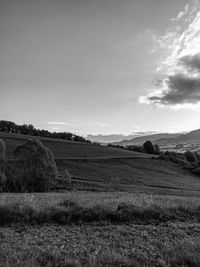 Scenic view of field against sky