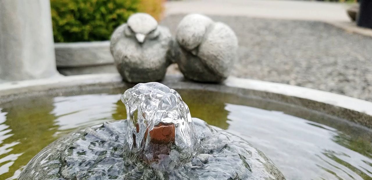 water, solid, rock, rock - object, no people, day, nature, focus on foreground, sculpture, representation, lake, statue, outdoors, fountain, flowing water, animal themes, close-up, animal, animal wildlife