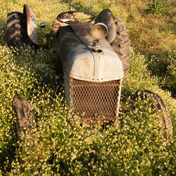 Abandoned tractor resting in field of wild flowers.