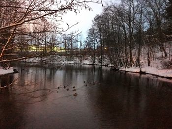 Scenic view of lake