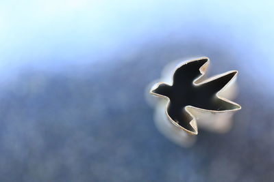 High angle view of leaf shape cookie cutter on table