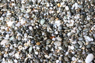 Full frame shot of pebbles