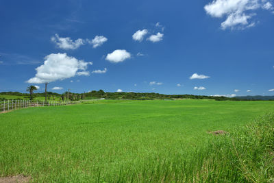sky