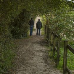 Rear view of woman walking on footpath