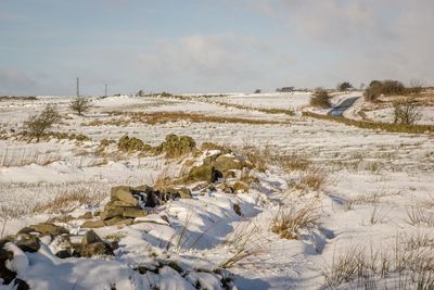 Scenic view of landscape against sky during winter