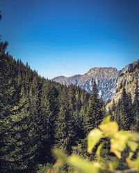 Scenic view of mountains against clear blue sky