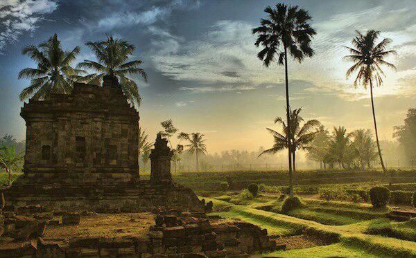 tree, palm tree, sky, tranquility, growth, cloud - sky, nature, tranquil scene, landscape, built structure, field, history, architecture, grass, beauty in nature, building exterior, travel destinations, scenics, green color, travel