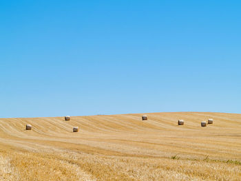 Hay bales on field against clear blue sky